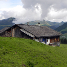 DSCN5019.JPG