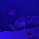 DSC_0048_JPG-1313013319.jpg
