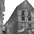 Ochsen_0004_jpg-1313074143