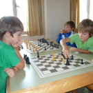 Schach5_jpg-1313093804