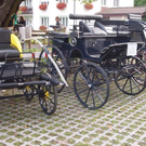 12_8_2011 Alberschwende K__se-Klasch31.jpg
