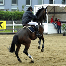050_bearbeitet-3_jpg-1313147579