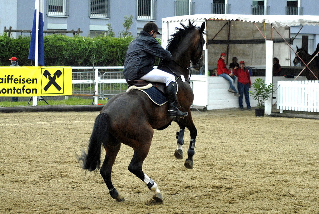 050_bearbeitet-3_jpg-1313147579