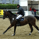 054_bearbeitet-1_jpg-1313147617
