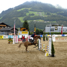 116_bearbeitet-1_jpg-1313147655