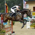 291_bearbeitet-1_jpg-1313148170