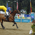 329_bearbeitet-1_jpg-1313148558