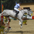 373_bearbeitet-1_jpg-1313148973