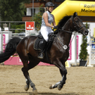 395_bearbeitet-1_jpg-1313149130