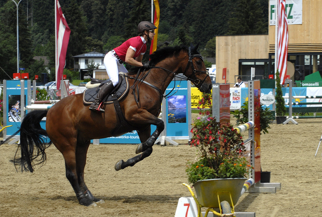 403_bearbeitet-1_jpg-1313149278