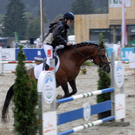 209_bearbeitet-2_jpg-1313149686