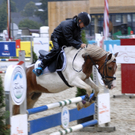 218_bearbeitet-1_jpg-1313149749
