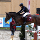 240_bearbeitet-1_jpg-1313149787