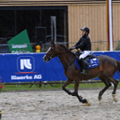 256_bearbeitet-1_jpg-1313149832