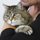 Tiere der Woche KW 32