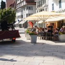 DSC02660.JPG