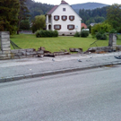 DSC01578.jpg