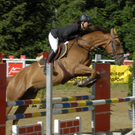 004_bearbeitet-1_jpg-1313315418