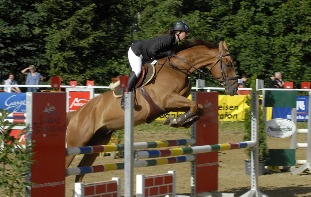 004_bearbeitet-1_jpg-1313315418