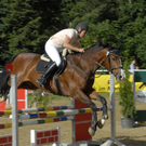 009_bearbeitet-1_jpg-1313315431