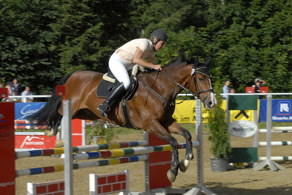 009_bearbeitet-1_jpg-1313315431