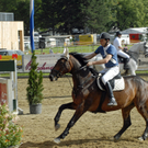 037_bearbeitet-1_jpg-1313315518