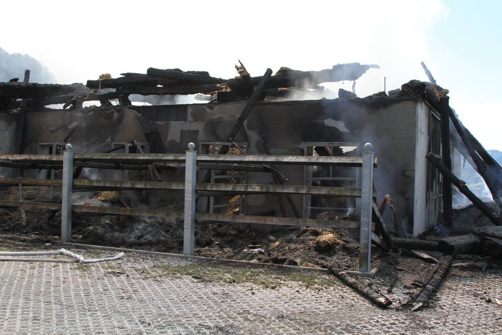13082011brandthalgauffaktivnews_052.jpg