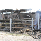 13082011brandthalgauffaktivnews_048.jpg