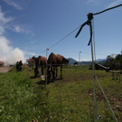 13082011brandthalgauffaktivnews_029.jpg