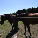 13082011brandthalgauffaktivnews_031.jpg
