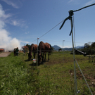 13082011brandthalgauffaktivnews_028.jpg