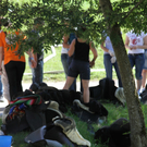 13082011brandthalgauffaktivnews_134.jpg