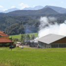 13082011brandthalgauffaktivnews_158.jpg