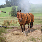13082011brandthalgauffaktivnews_115.jpg