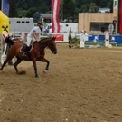 DSC_0135.JPG