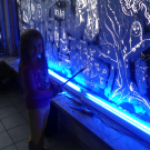 DSC07145.JPG