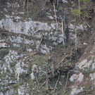 14082011felsrlaktivnews4 _152_.JPG