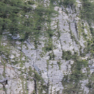 14082011felsrlaktivnews3 _3_.JPG