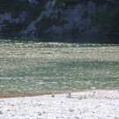 14082011felsrlaktivnews4 _116_.JPG