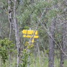 14082011felsrlaktivnews4 _173_.JPG