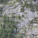 14082011felsrlaktivnews4 _171_.JPG