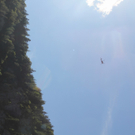 14082011felsrlaktivnews4 _76_.JPG