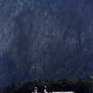 14082011felssturzffaktivnews_06.jpg