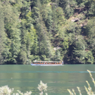 14082011felsrlaktivnews4 _72_.JPG