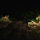 normal_14082011unwetternussdorfslbpm03.jpg