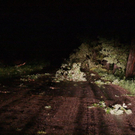 normal_14082011unwetternussdorfslbpm04.jpg