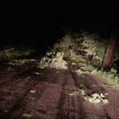 normal_14082011unwetternussdorfslbpm06.jpg