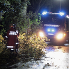 normal_14082011unwetternussdorfslbpm08.jpg
