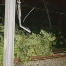 normal_14082011unwetternussdorfslbpm20.jpg