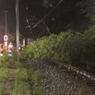 normal_14082011unwetternussdorfslbpm21.jpg